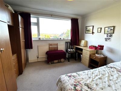Picture 17
